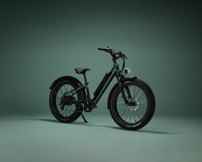 Haines Fat Tire E-Bike Rental