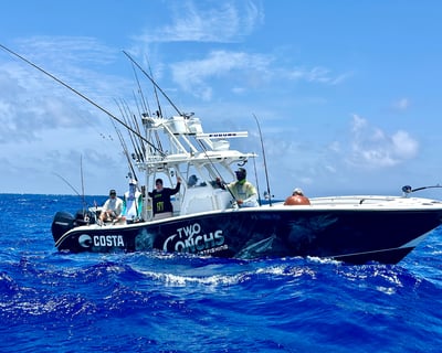Private Fishing Charter From Marathon