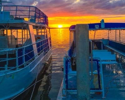 Naples 4-Hour Private Captained Cruise