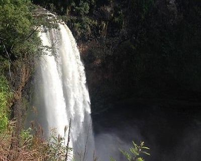 Waimea Canyon & Waterfall Day Tour From Oahu