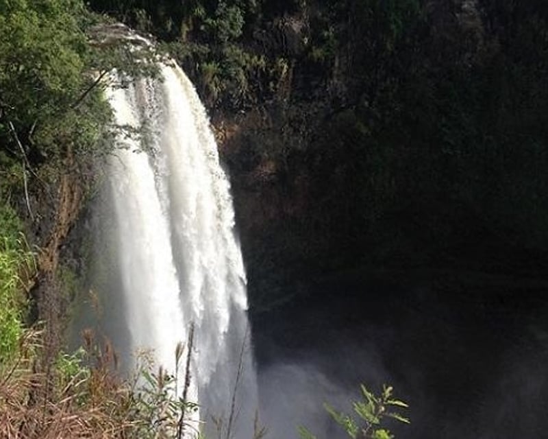 Waimea Canyon & Waterfall Day Tour From Oahu