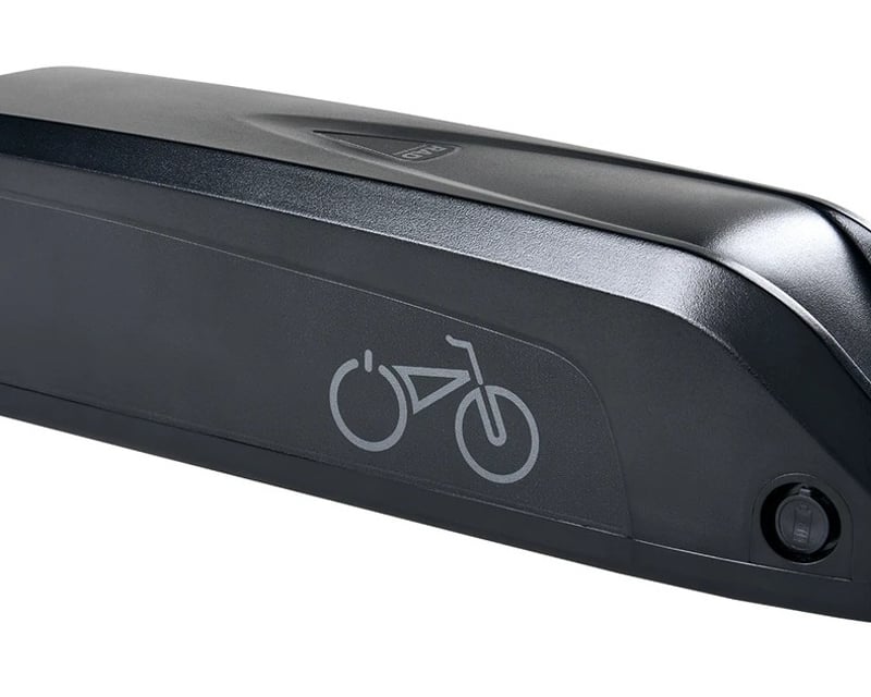 Extra E-Bike Battery Rental Add-On in Jackson