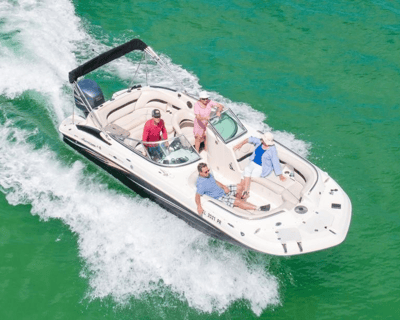 Clearwater Dolphin Watching & Island Hopping Tour