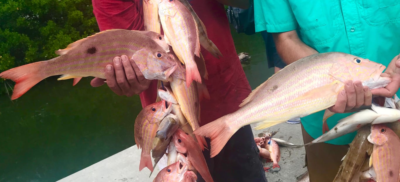 Sarasota Party Boat Fishing with All Gear & License