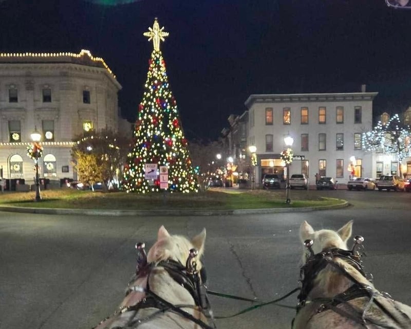 Christmas Lights Horse-Drawn Carriage Ride in Gettysburg