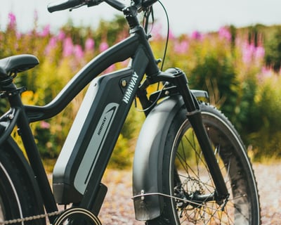 8-Hour E-Bike Rental in Tahoe City