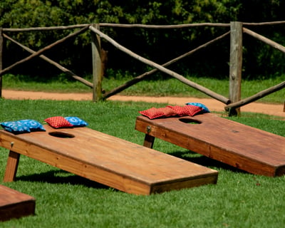 Corporate Picnic Games Tournament in New York City