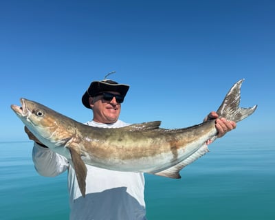 Full-Day Key West Bay Boat Fishing Charter