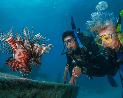 Miami Lionfish Tracking Diving Course