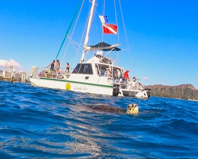 Waikiki Catamaran Turtle Snorkeling Tour