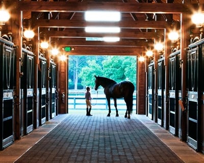 Private Stable Tour in Hilton Head Island