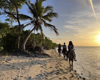 Vieques Sunset Horseback Riding Tour