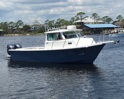 Orange Beach 24' Fishing Charter