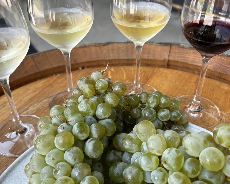 Behind-the-Scenes Winery Tour & 5-Wine Tasting in Chicago