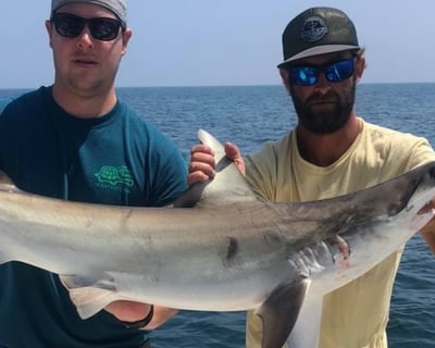 Night Shark Fishing Charter in Ocean City