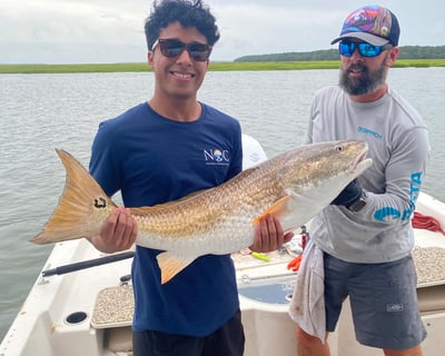 Hilton Head Private Dolphins, Sharks and Shells Tour