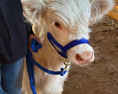 1-Hour Guided Ranch Tour in Ira Township