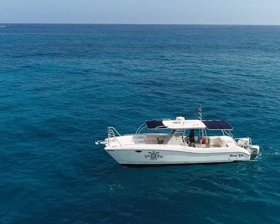 2-Tank Scuba Dive Charter in Kailua-Kona