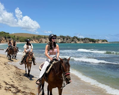 Vieques Black Sand Beach Guided Horseback Ride