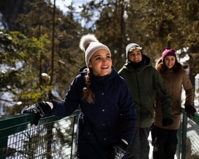 Guided Johnston Canyon Frozen Falls Tour From Banff