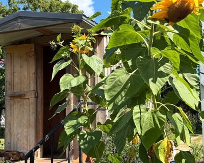 Sauna & Cold Therapy Rental in Sharon