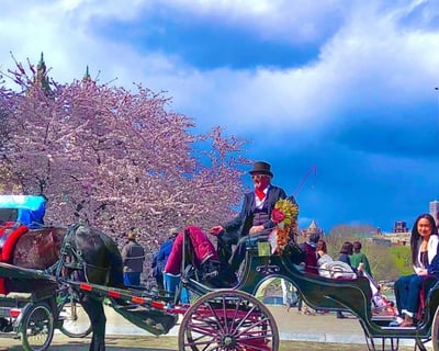 Central Park Horse-Drawn Carriage Tour With Photo Stops