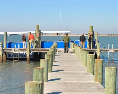 Sunset Dolphin & Wild Horse Cruise From Beaufort