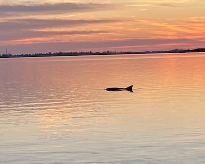 Sunset Cruise From Holmes Beach
