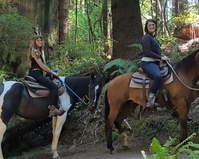 Redwood Forest Horseback Ride