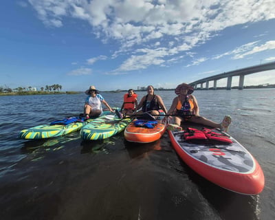 Dolphin & Manatee Paddle Tour in Daytona Beach