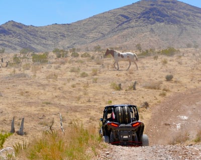 Guided Mojave Desert RZR Off-Road Tour From Las Vegas