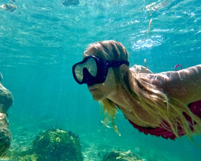 Guided Snorkel Tour in West Palm Beach