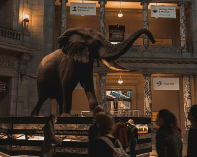 Smithsonian Museums & Galleries 5-Hour Washington Tour