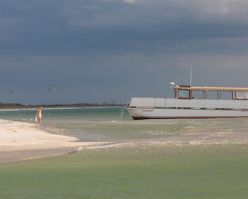 Cayo Costa State Park Shelling Cruise