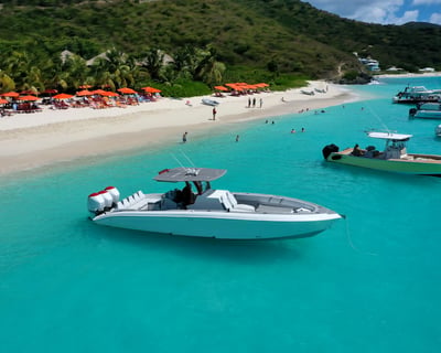 Private Charter in the British Virgin Islands Aboard 37'