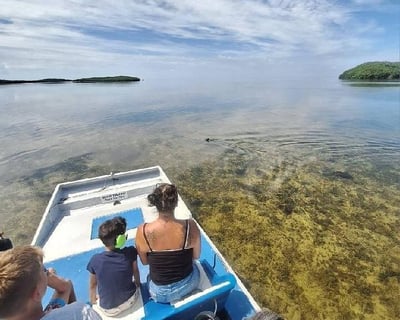 1-Hour Homosassa Springs Airboat Tour