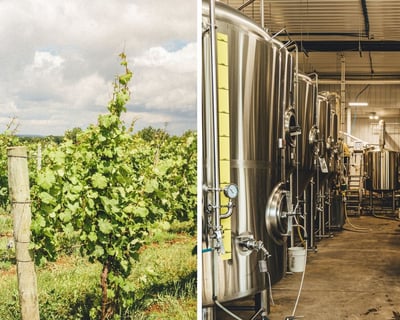 2-Hour Guided Winery Tour in Geneva