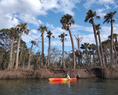 Hunting Island Lagoon Paddle to Boneyard Beach