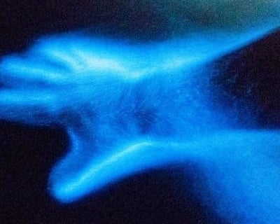 Bioluminescent Guided Kayak Tour in La Parguera