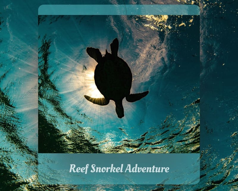 Guided Olowalu Reef Snorkel Tour