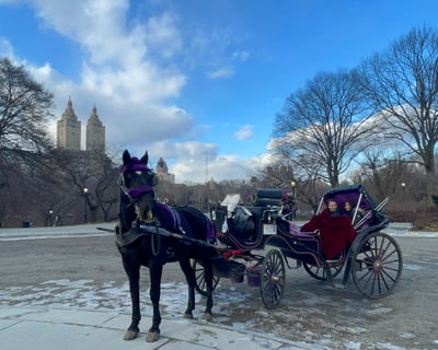 Ride a Horse-Drawn Carriage Through Central Park