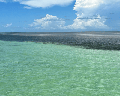 Swim & Relax on a 6-Hour Key West Sandbar Charter