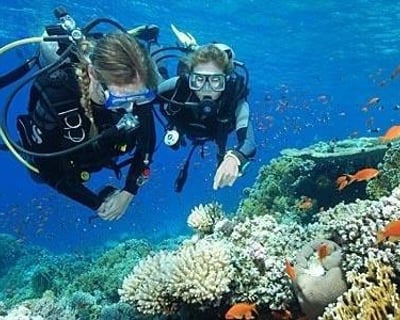 Earn Your PADI Open Water Certification in Wahiawa