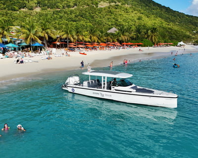Full-Day Virgin Islands Charter