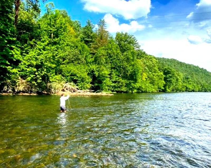 Guided Brown Trout Wade Fishing on the South Holston River