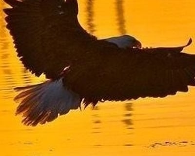 Sunset Photography Tour in Sitka