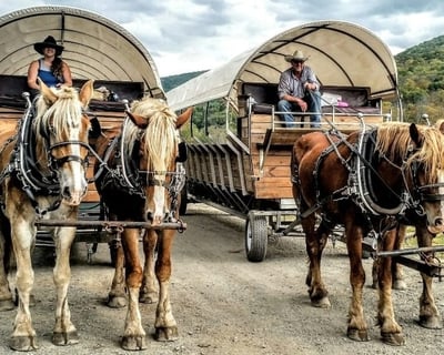 Explore Waterfalls on a PA Grand Canyon Wagon Tour