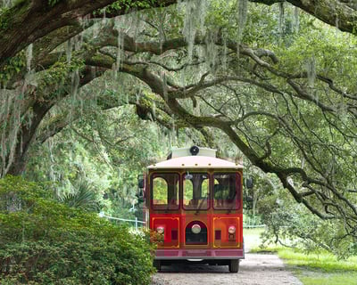 Charleston Tea Garden Trolley Tour