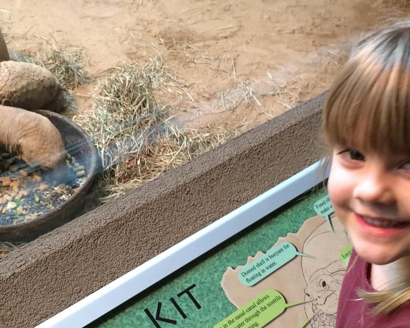 Reptile Zoo Admission at Clyde Peeling's Reptiland