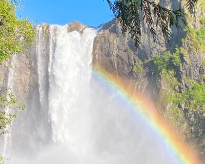 Snoqualmie Falls Private Tour from Seattle